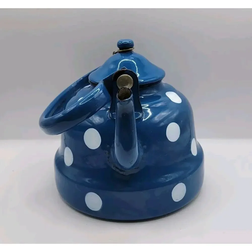 Vintage Graniteware Blue & White Polka Dots Enamel Gooseneck Swing Handle Teapot